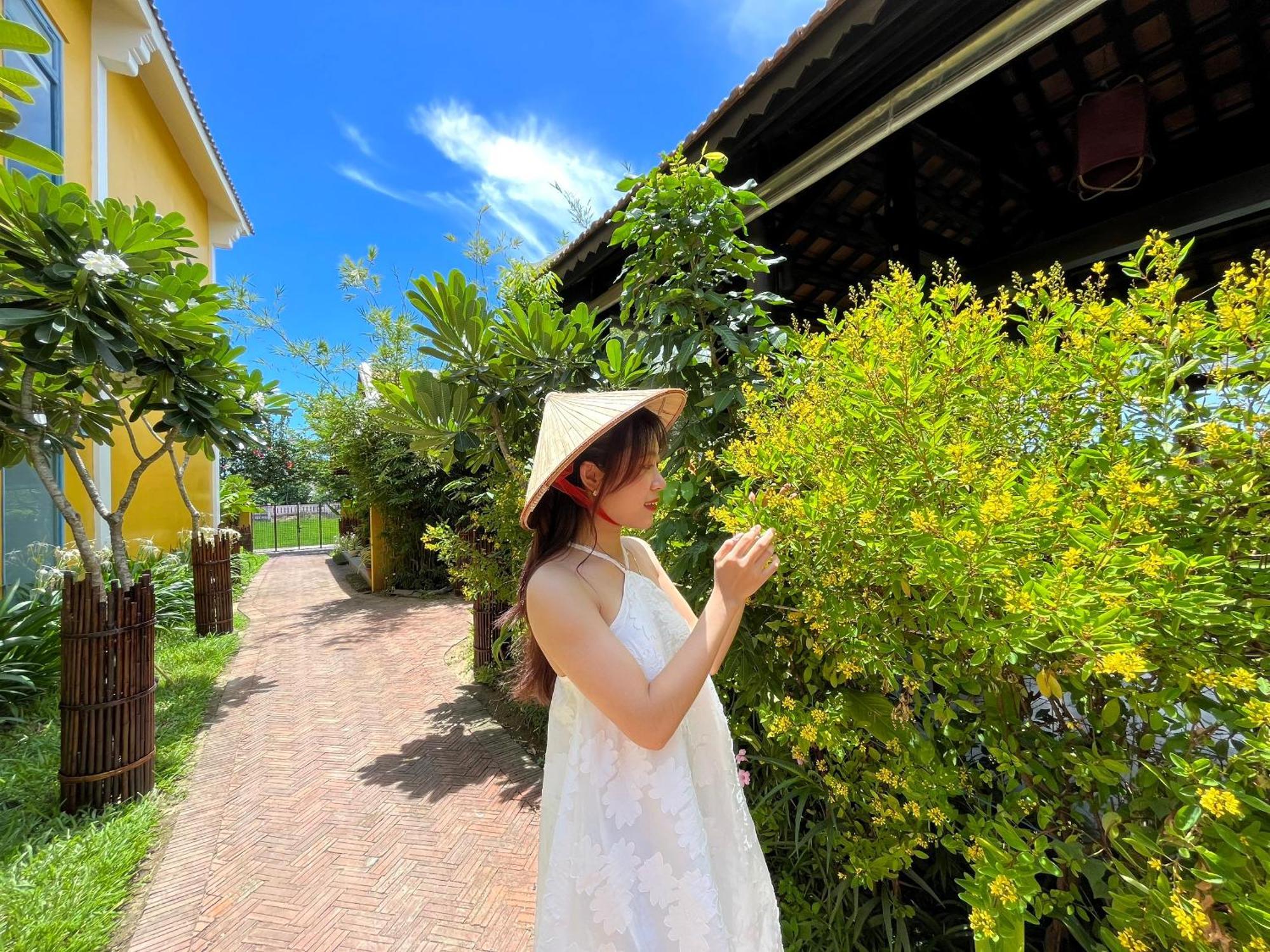 Chez Mimosa Hoi An - Rice Field - New Address Dx18, Thanh Nhut, Cam Thanh מראה חיצוני תמונה